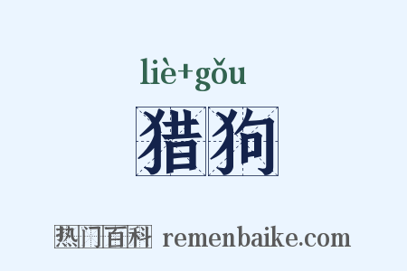 猎狗是什么意思的图片